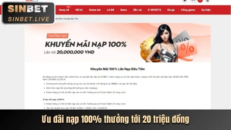 Chương trình VIP với các đặc quyền độc quyền